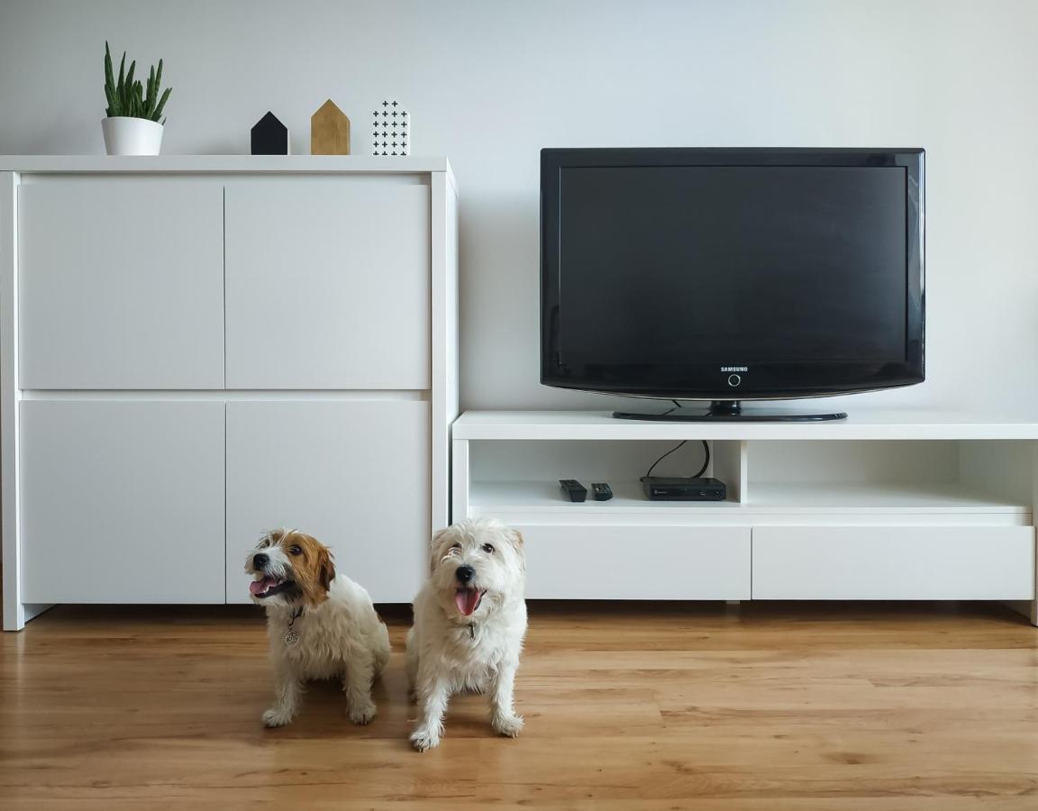 Uroczy Apartament Pod Skarpa Wadowice Luaran gambar